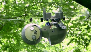 Este perezoso robot podría proteger ecosistemas en peligro