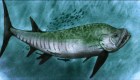 Estudiante lidera investigación del fósil de un temible pez gigante