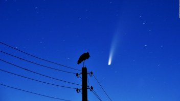 Las imágenes del primer cometa visible de 2020
