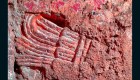 Autoridades descubren ruina prehispánica bajo edificio de la capital mexicana