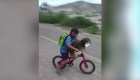 Video: un niño protege a su mascota en plena pandemia