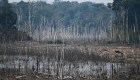 Alarmante cifra de deforestación en la Amazonía brasileña