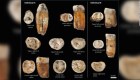 Fósiles de dientes sugieren mezcla de humanos y neandertales