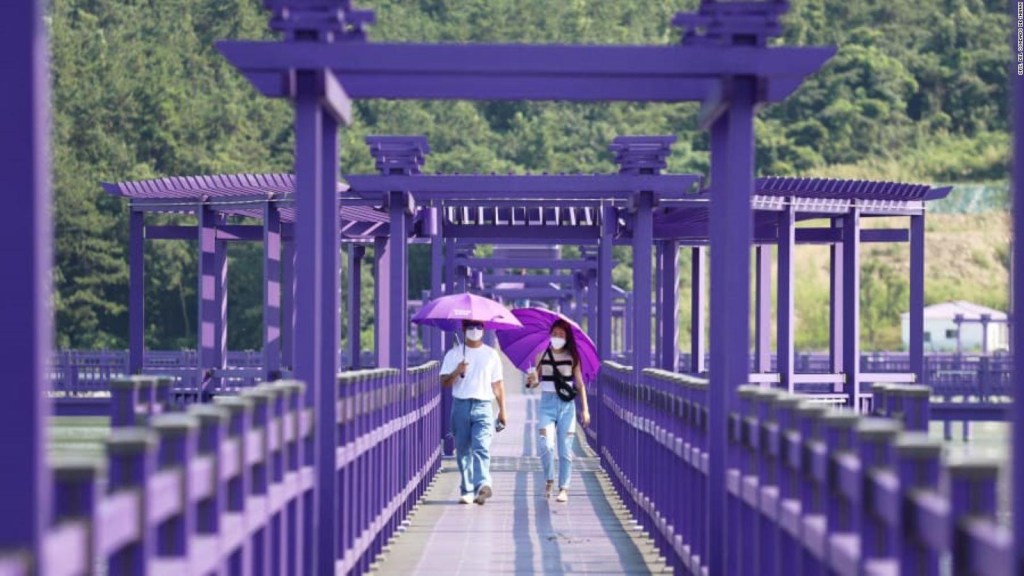 Isla púrpura en Corea del Sur atrae turistas