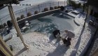 Se lanzó al agua helada para salvar a su perra