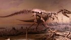 Descubren nuevo dinosaurio en Asia