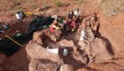 Hallan fósil de titanosaurio en Argentina