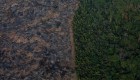 La destrucción de bosques tropicales aumenta en 2020