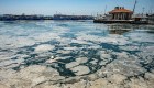 "Mocos de mar" invaden costas de Turquía
