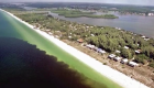 Florida, bajo la amenaza de la marea roja