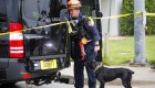 Así trabajan los perros rescatistas para detectar sobrevivientes en el derrumbe de Miami