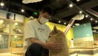 Los cafés con mascotas se hacen populares en China