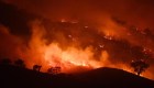 Estudio advierte sobre impacto de incendios forestales
