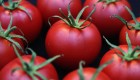4 recetas fáciles y rápidas para preparar una salsa de tomate