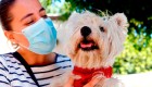 Mascotas y covid-19, ¿hay riesgo de contagio?