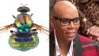Australia nombra una mosca en honor a RuPaul
