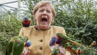 Mira a Angela Merkel alimentando a unos pájaros