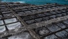 Sal negra: efectos de las cenizas en La Palma