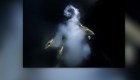Imagen subacuática gana premio fotográfico