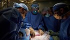 Exitoso trasplante de riñón de cerdo en un ser humano