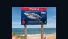 Tiburones blancos atacarían a humanos por error