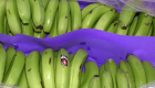 La estrategia para Volver a impulsar los plátanos de La Palma