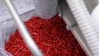 FDA decidirá sobre píldora contra el covid-19 de Merck