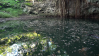 Mira cómo protegen los cenotes, el gran tesoro de Yucatán