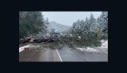 Así un auto esquiva un árbol que cae en la autopista