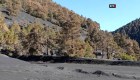 Detectan lluvia ácida por el volcán Cumbre Vieja