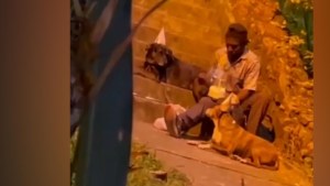 Hombre sin hogar festejó cumpleaños de sus perros