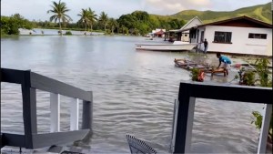 Momento en que tsunami llega a Tonga y civiles buscan escapar