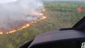 Consecuencias de los incendios en Argentina