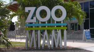 Zoo Miami, un lugar amigable para niños con autismo