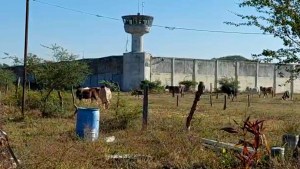 México: al menos 8 muertos por riña en cárcel de Colima
