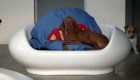 sudrafrica hotel perros lujo cnn redaccion buenos aires