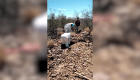 Polémica por número de restos hallados en fosa de Sonora