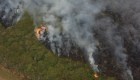 La tarea de los veterinarios en incendios en Corrientes