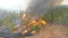 Argentina: los incendios forestales arrasan Corrientes