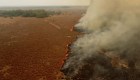 ONU alerta sobre aumento de los incendios forestales