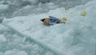 La triste realidad del Ártico por residuos plásticos