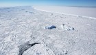Plataforma de hielo en la Antártida podría colapsar