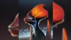 Estudio revela que pterosaurios tenían plumaje multicolor