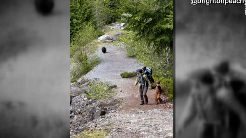 Un oso negro sigue a una familia durante 20 minutos de paseo