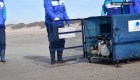 Conoce a los pingüinos que fueron rescatados en Argentina
