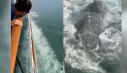 Un crucero de Norwegian Sun chocó con un pequeño iceberg
