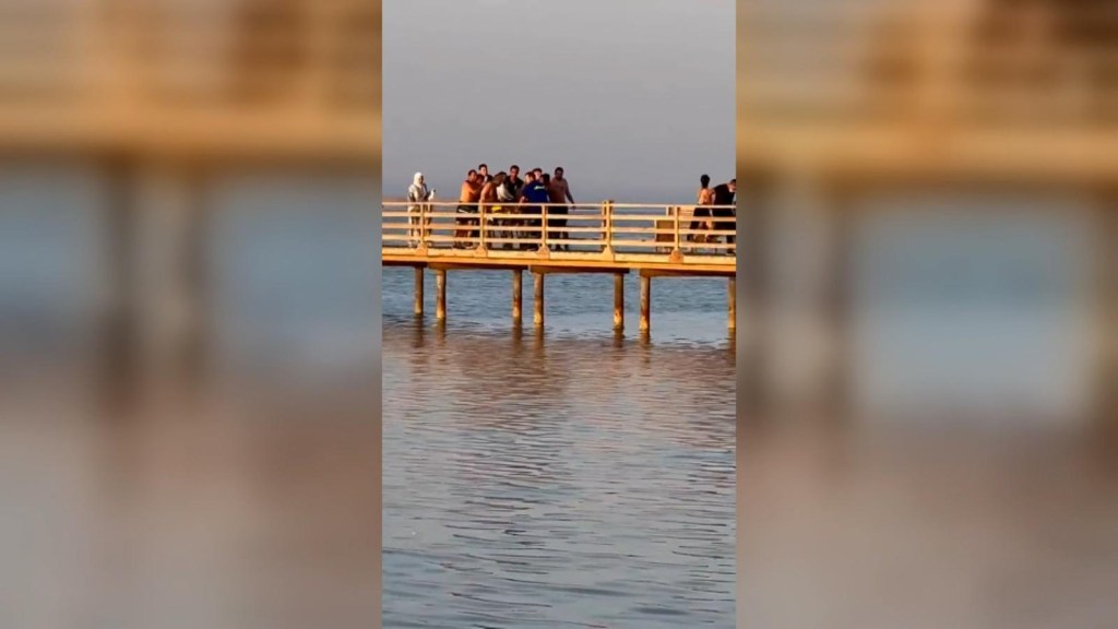 Un grupo de personas ayuda a mujer atacada por un tiburón