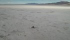 Gran Lago Salado de Utah registra la peor sequía en casi 200 años