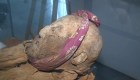 ¿Quién es la momia de Guano? El misterio que persiste en Ecuador