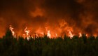 Impactantes imágenes del fuego que arrasa los bosques de Francia